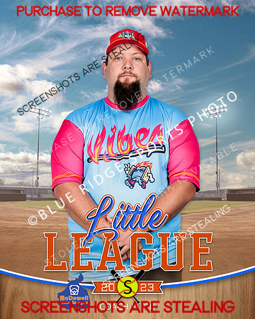 VIBES.CP.SOFTBALL 003 of 12
