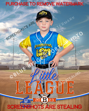 STUDMUFFINS.CP.BASEBALL 009 of 14