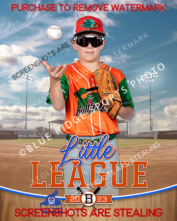 BULLFROGS.IND 002 of 10