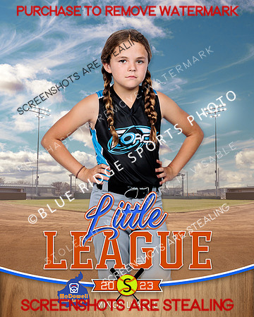 FORCE.MINORS.SOFTBALL 001 of 12