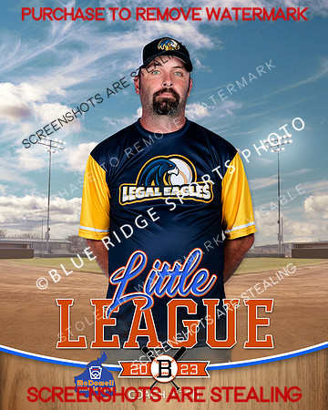 LEGALEAGLES.CP.BASEBALL 005 of 12