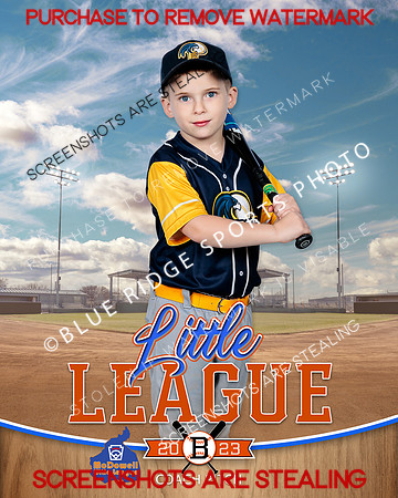 LEGALEAGLES.CP.BASEBALL 003 of 12
