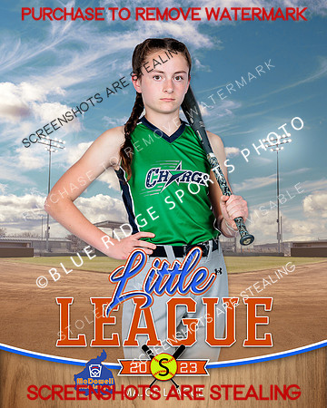 CHARGE.MAJORS.SOFTBALL 012 of 12