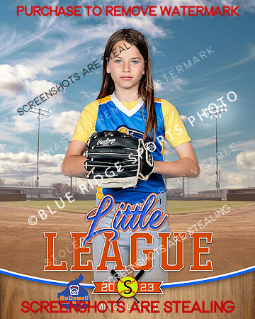 COMMOTION.MINORS.SOFTBALL 010 of 10
