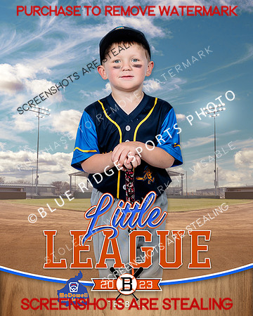 FISHSTICKS.TBALL 001 of 16
