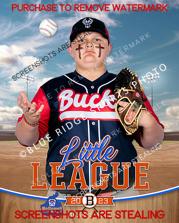 BUCKS.MAJORS.BASEBALL 006 of 12