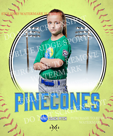 PINECONES 014 of 41