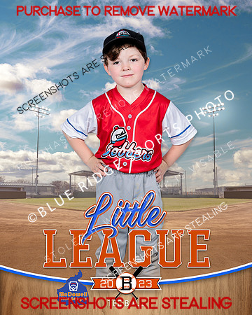 BOBBERS.TBALL 003 of 12