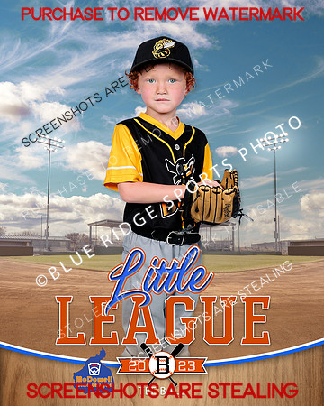 BUZZ.TBALL 001 of 12