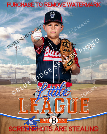 BUCKS.MAJORS.BASEBALL 008 of 12