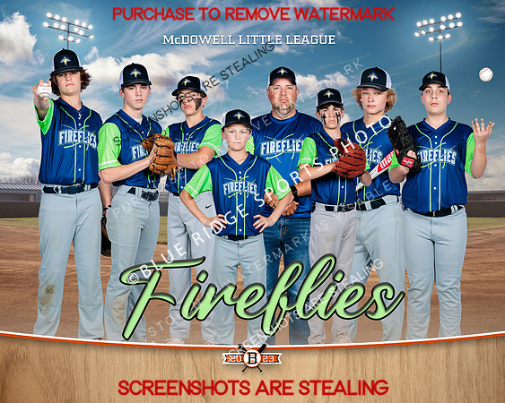 1FIREFLIES