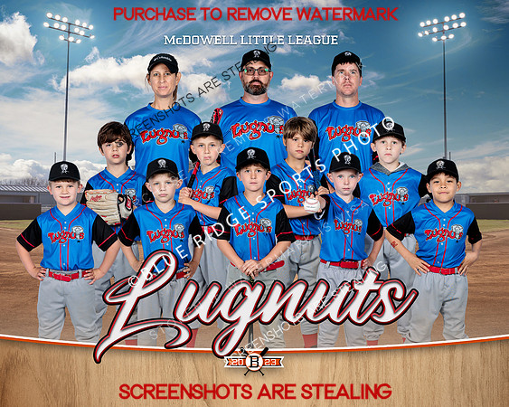 1 lugnuts