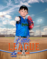 PICKLES.CP.BASEBALL 014 of 14