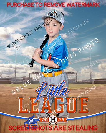 CORNDOGS.TBALL 005 of 16