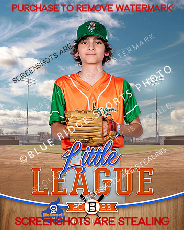 GRASSHOPPERS.MAJORS.BASEBALL 011 of 11