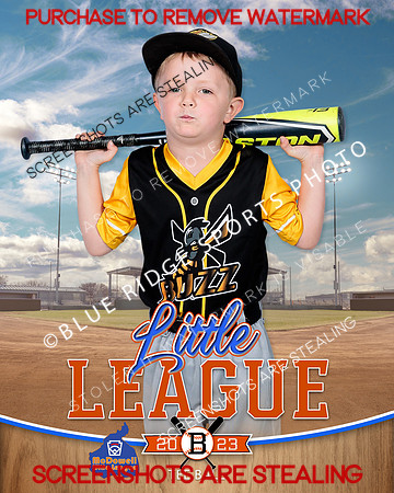 BUZZ.TBALL 002 of 12