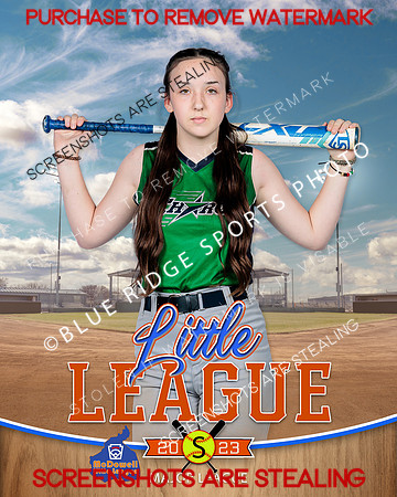 CHARGE.MAJORS.SOFTBALL 011 of 12