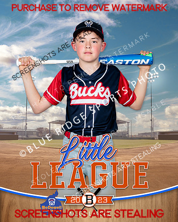 BUCKS.MAJORS.BASEBALL 007 of 12