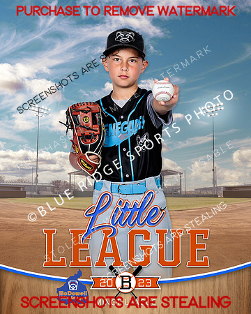 RENEGADES.MINORS.BASEBALL 004 of 6