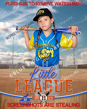 STUDMUFFINS.CP.BASEBALL 014 of 14