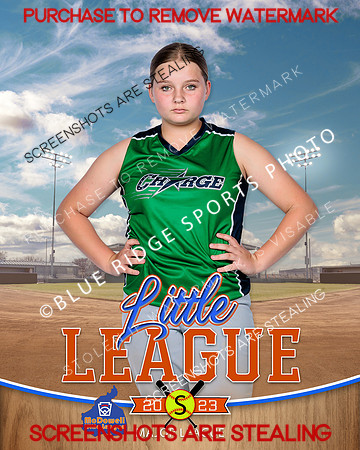CHARGE.MAJORS.SOFTBALL 009 of 12