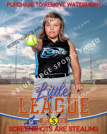 FORCE.MINORS.SOFTBALL 003 of 12