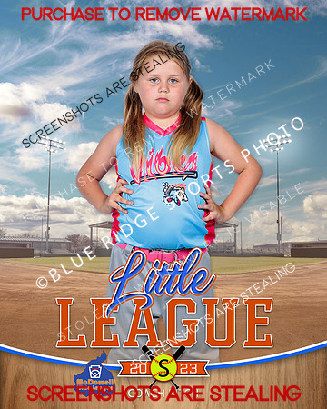 VIBES.CP.SOFTBALL 006 of 12