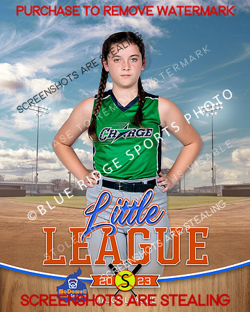 CHARGE.MAJORS.SOFTBALL 010 of 12