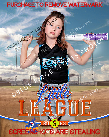 FORCE.MINORS.SOFTBALL 002 of 12