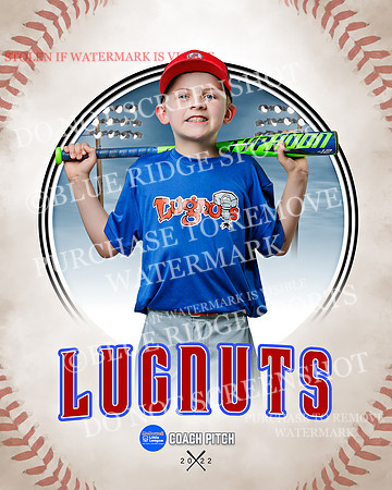 LUGNUTS 036 of 40