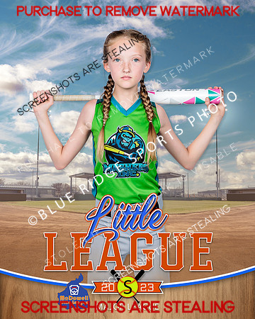 MASHERS.MAJORS.SOFTBALL 008 of 10