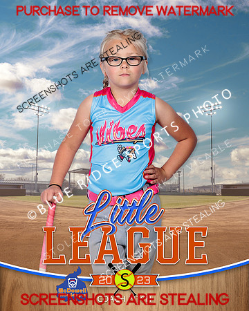 VIBES.CP.SOFTBALL 012 of 12