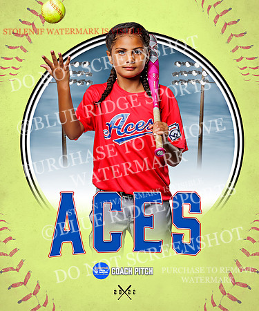 ACES 034 of 34