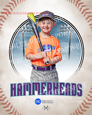 HAMMERHEADS 011 of 42