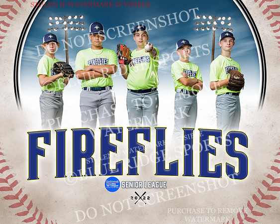 1 fireflies.team