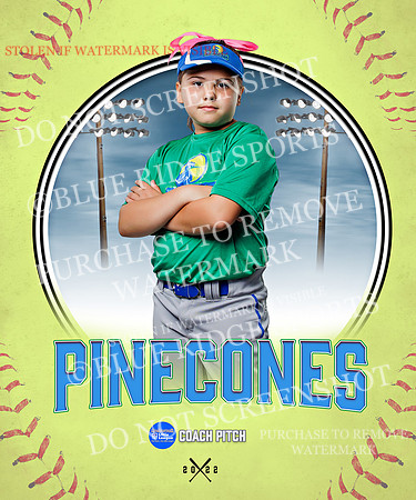 PINECONES 023 of 41