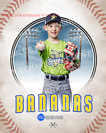 BANANAS 028 of 41