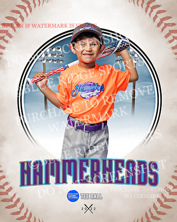 HAMMERHEADS 008 of 42