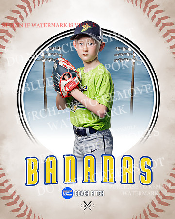 BANANAS 029 of 41
