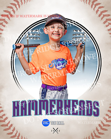 HAMMERHEADS 020 of 42