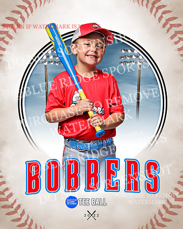 BOBBERS 020 of 45