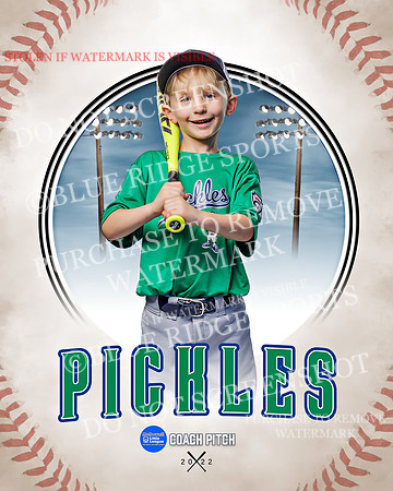 PICKLES 034 of 43