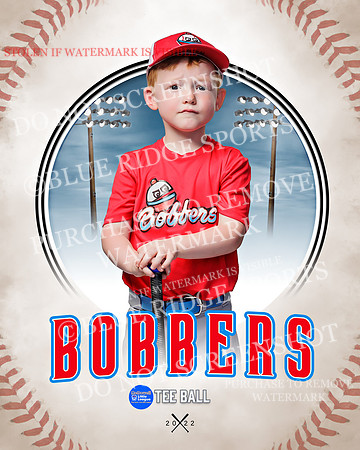 BOBBERS 007 of 45