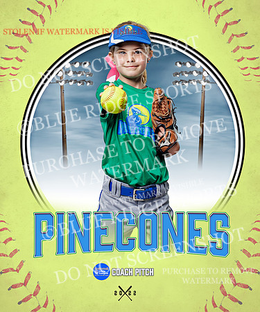 PINECONES 031 of 41