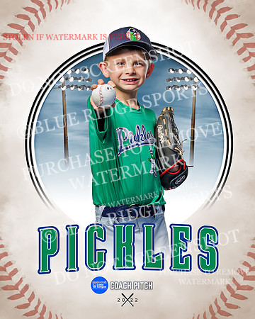 PICKLES 042 of 43