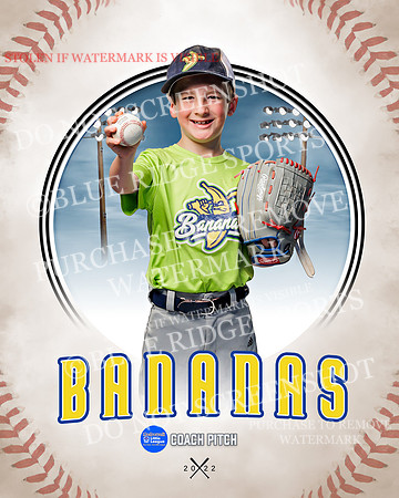 BANANAS 020 of 41