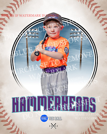 HAMMERHEADS 005 of 42