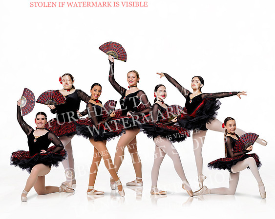 POINTE  CLASS PHOTO