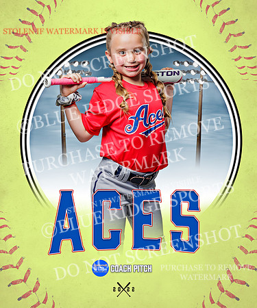 ACES 018 of 34