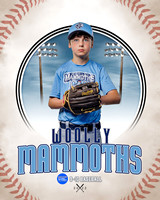 MAMMOTHS 006 of 36